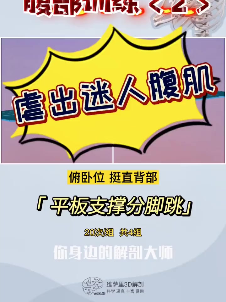 「腹直肌的运动解剖+锻炼」运动解剖