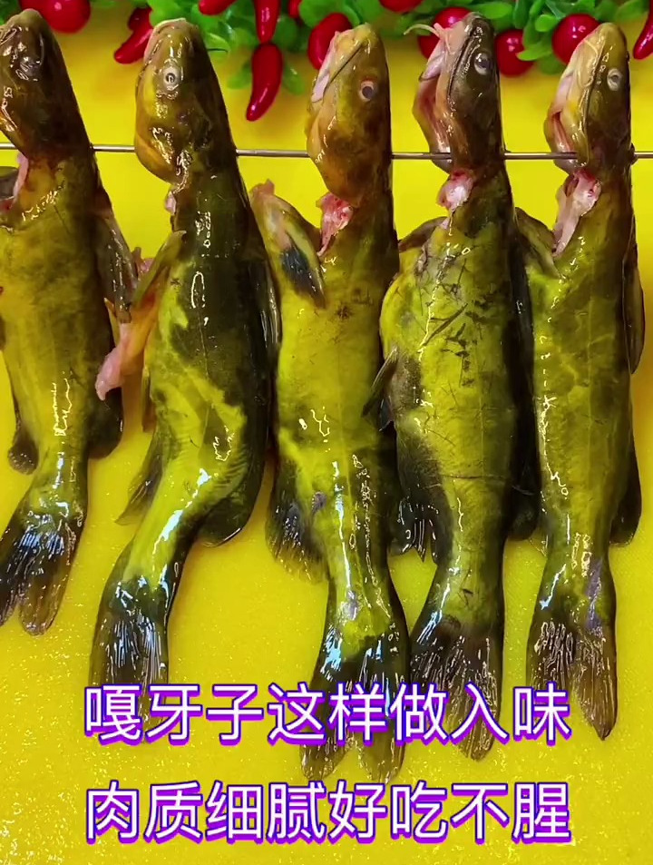 嘎牙子鱼这样做可好吃了我一个人吃了五条