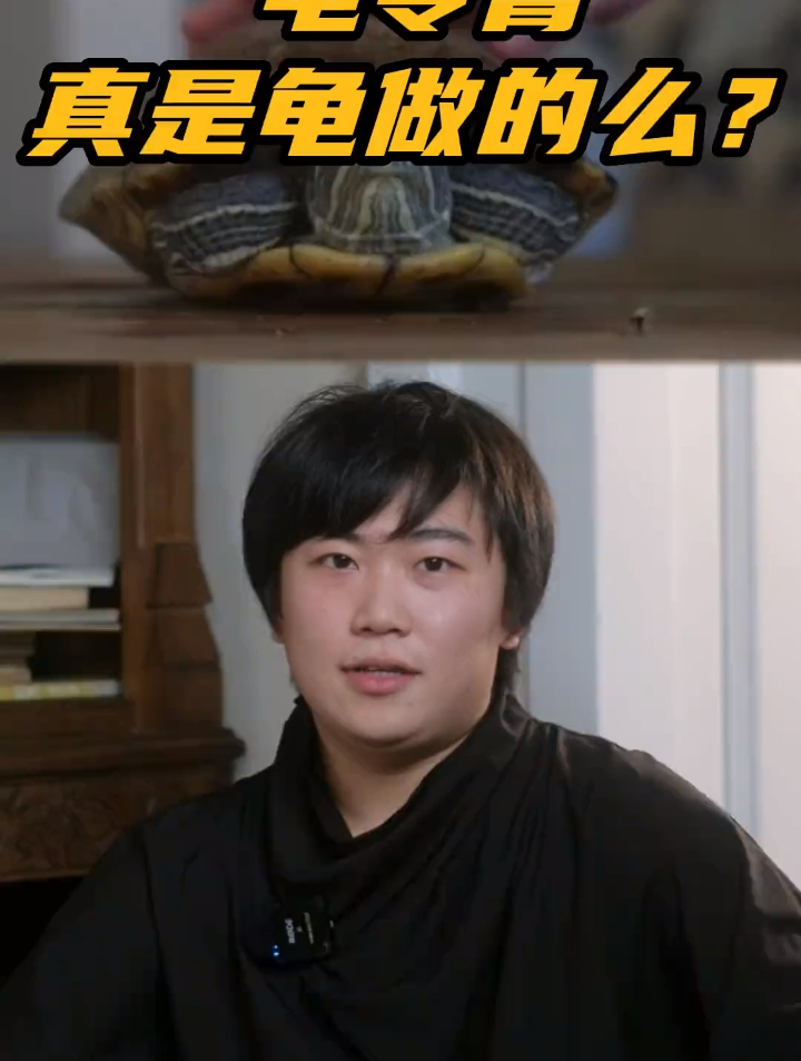 龟苓膏真是龟做的么?