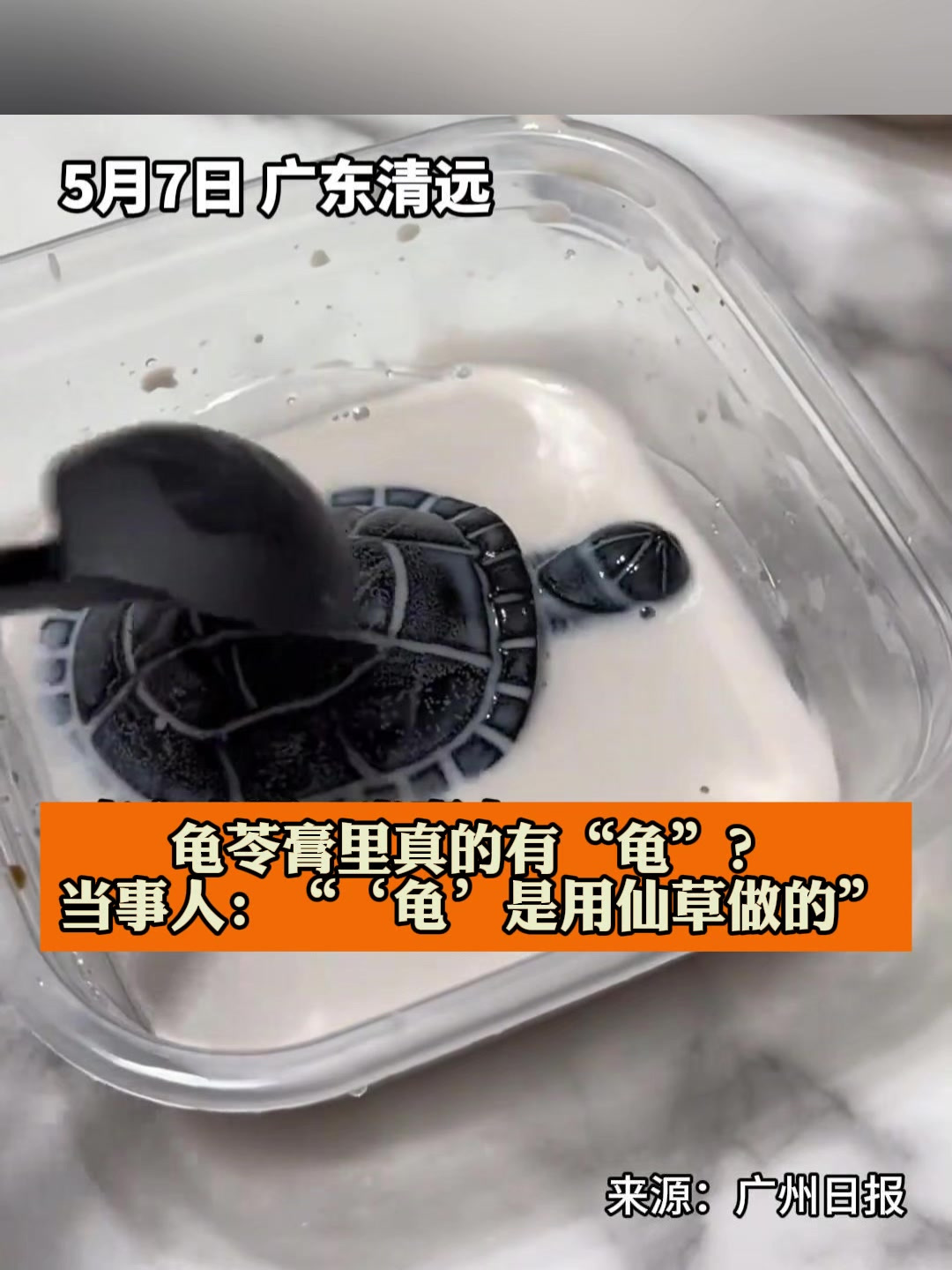 龟苓膏里真的有“龟”?当事人:“‘龟’是用仙草做的”