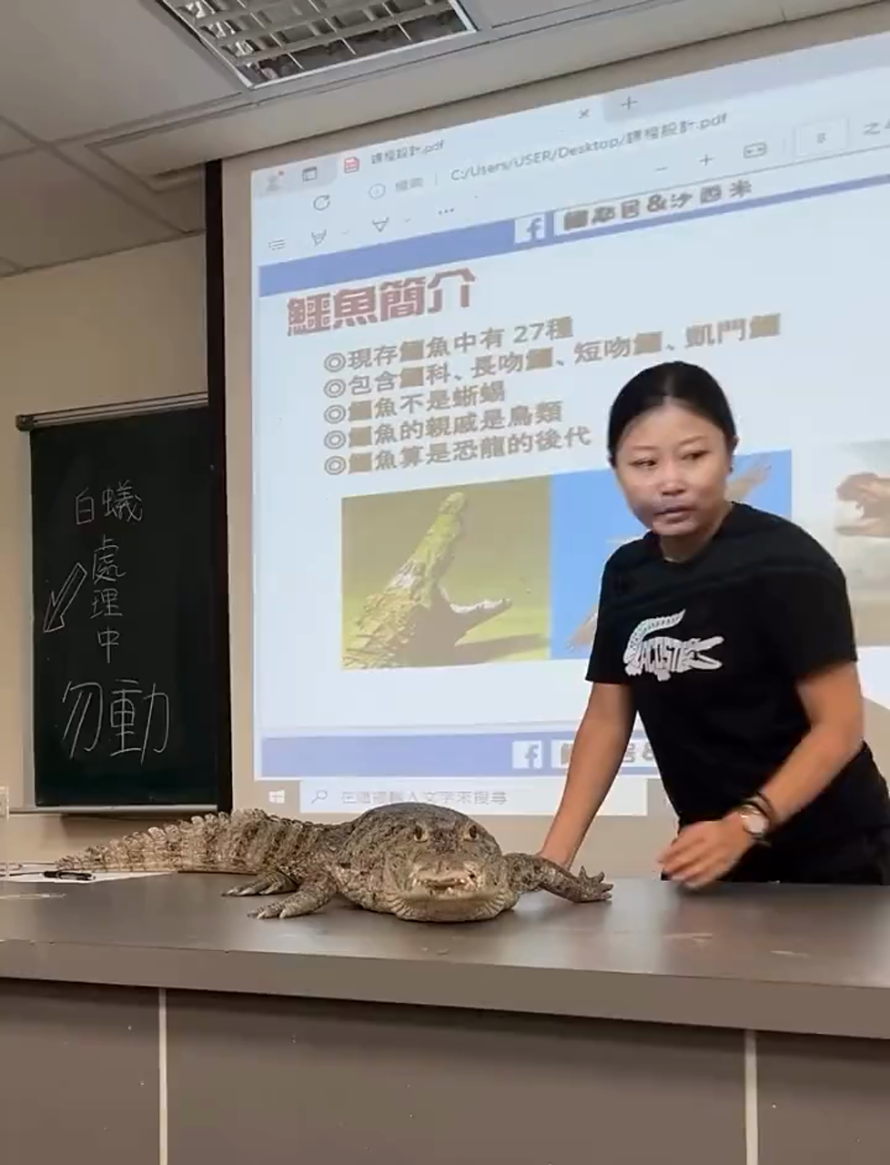 鳄鱼：我可是讷鱼，很凶的那种