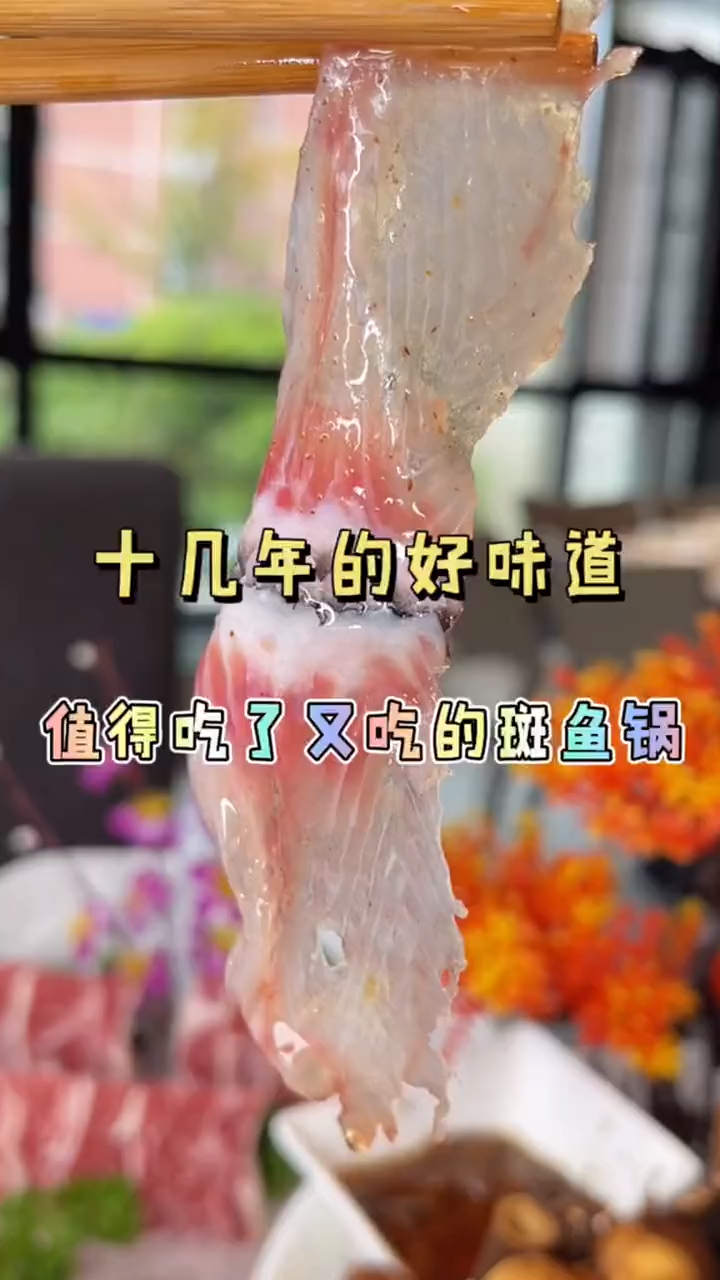 吃了十多年的斑鱼火锅,小米辣配姜蓉绝了