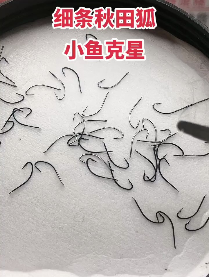 冬季秋田狐适合钓小型鱼类、白条、瓜子鲫、趴地虎、马口等