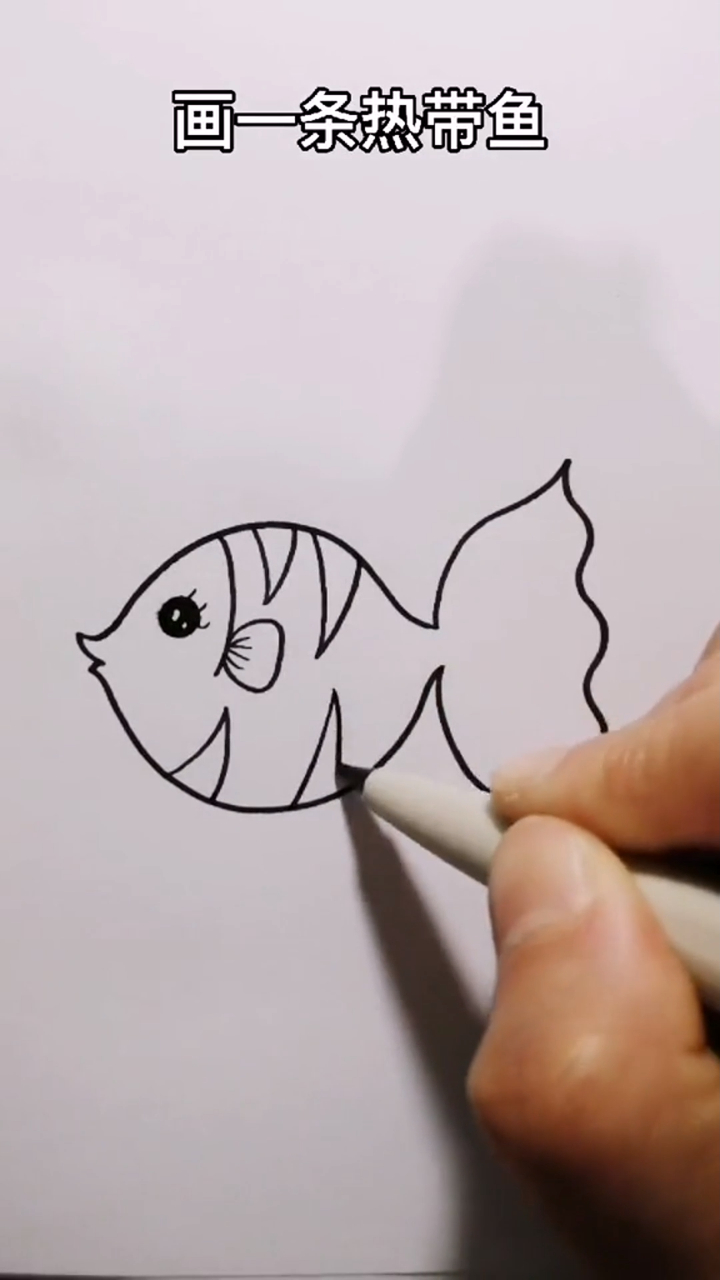 热带鱼这样画,简单又好看简笔画