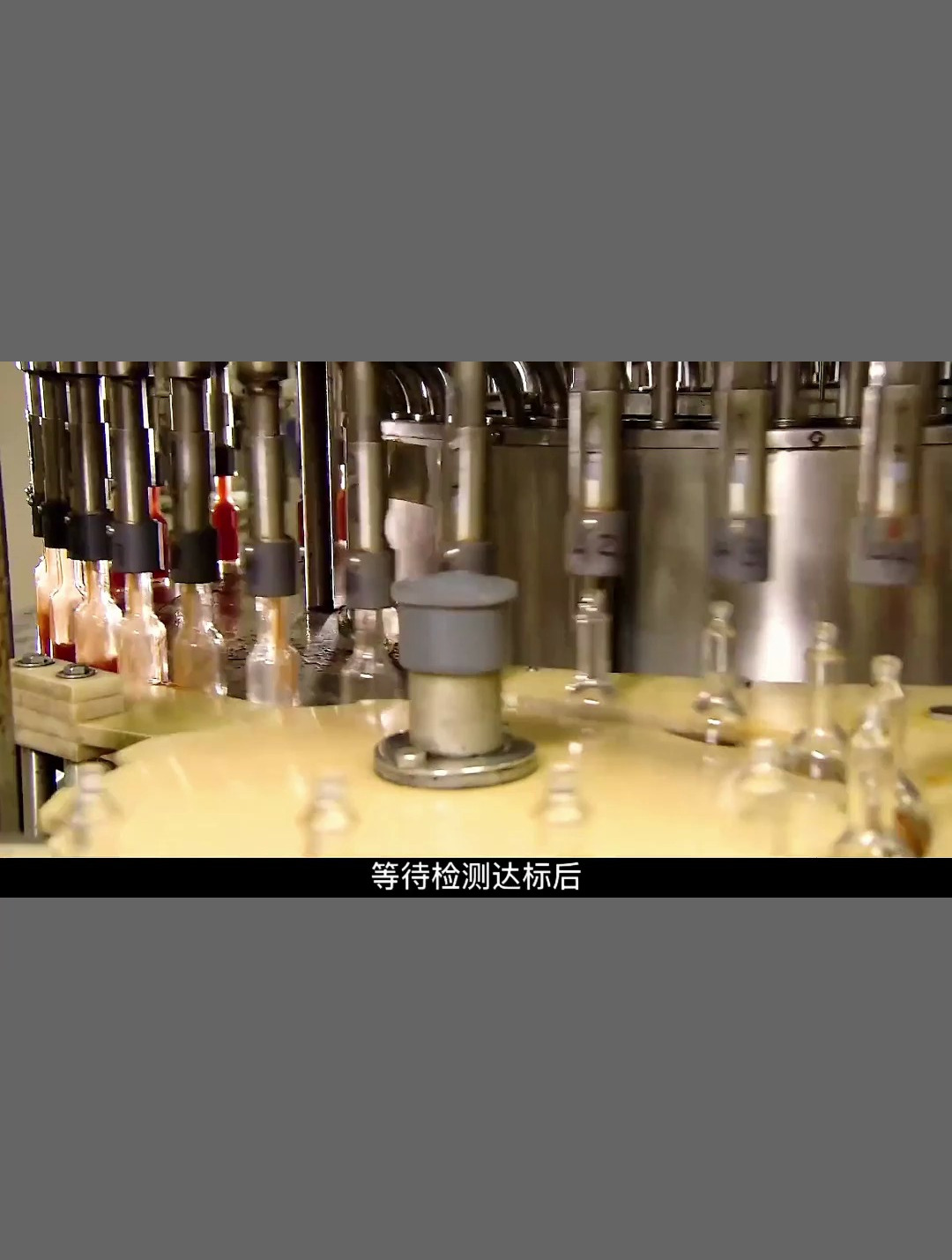 发酵3年制作而成的辣椒酱 这真的能吃?
