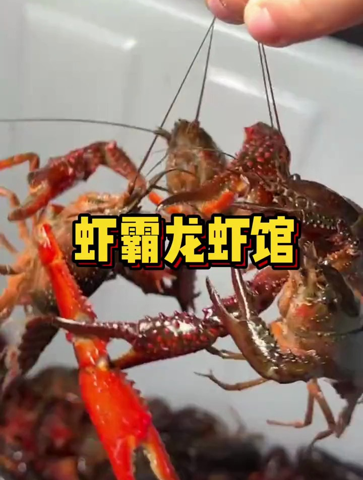 虾霸龙虾馆天宁二村!