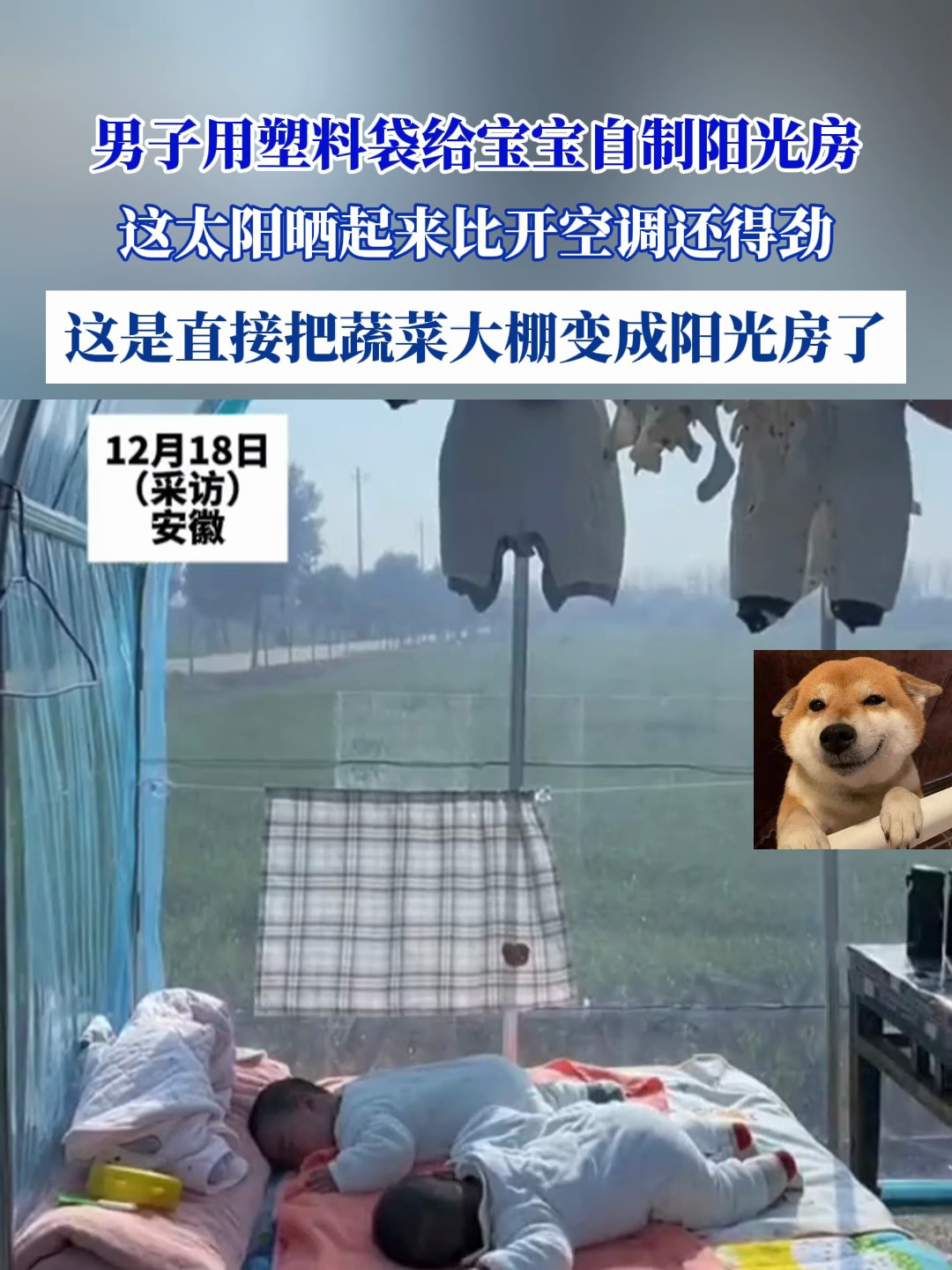 男子用塑料袋给宝宝自制阳光房,这太阳晒起来比开空调还得劲