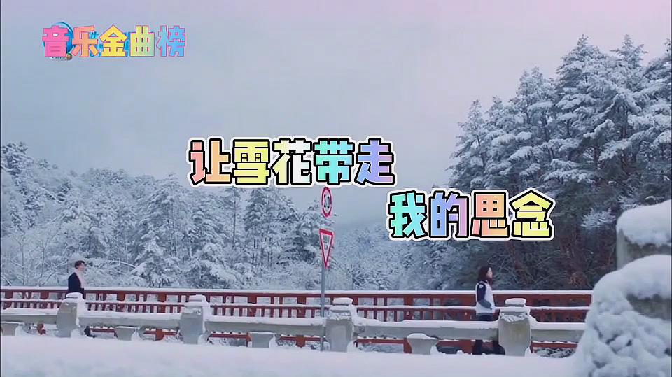 [图]一首让雪花带走我的思念,从此不再有你的心碎,我一个人喝醉