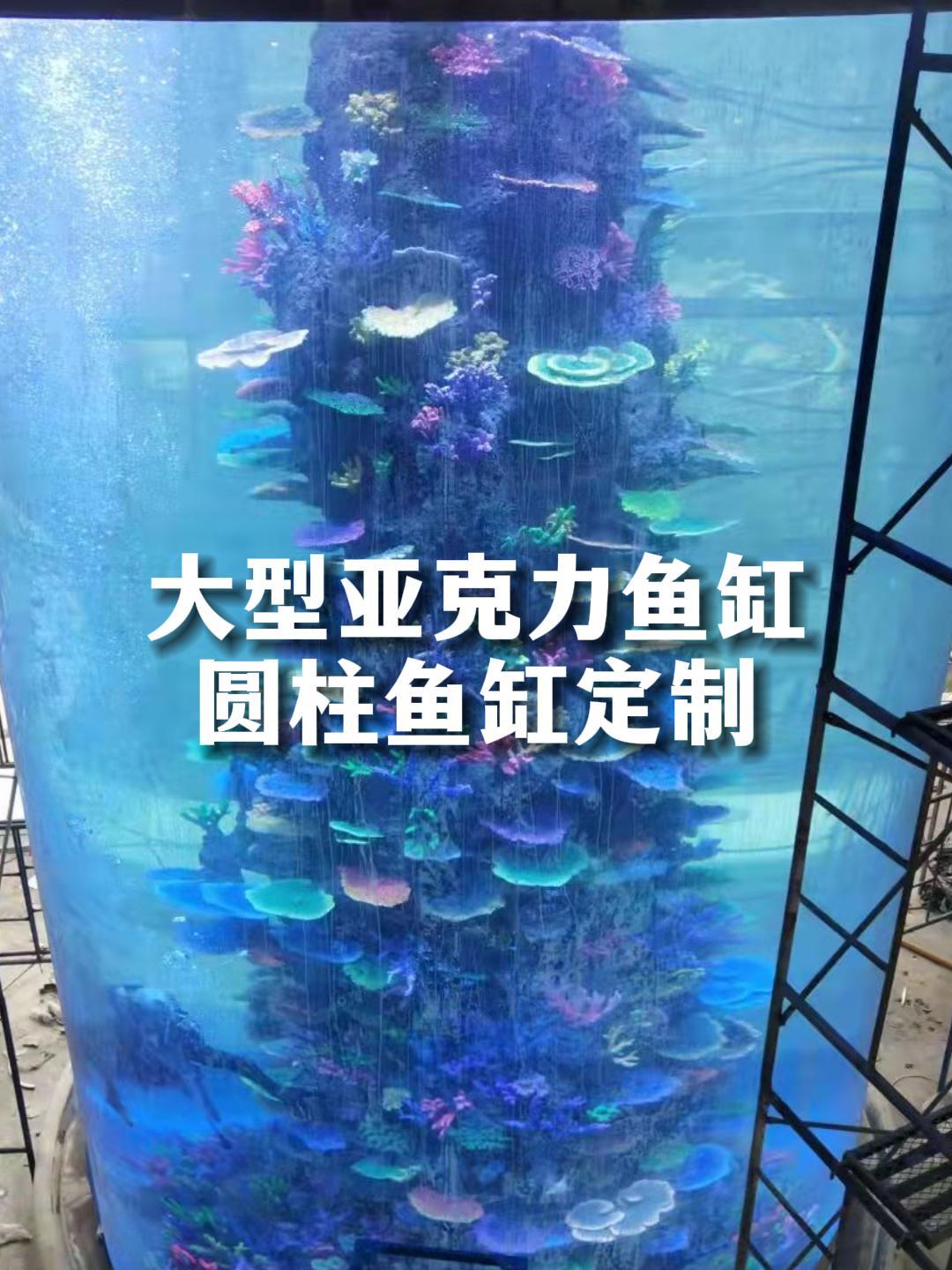 长沙大型圆柱鱼缸项目,水族馆案例展示