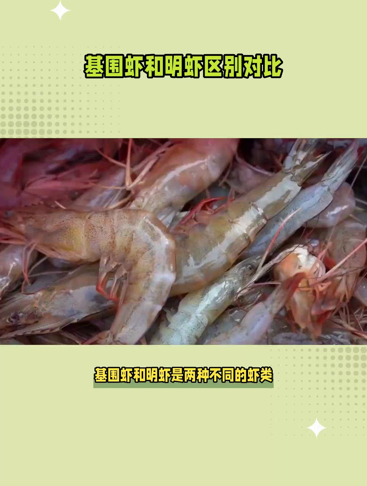基围虾和明虾的区别