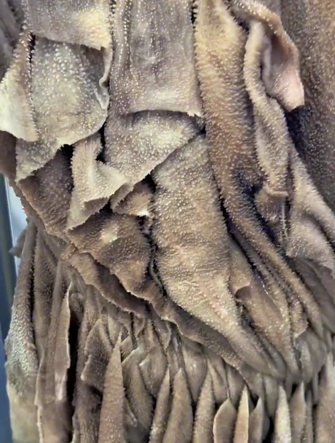 夏天不知道吃什么?看我这个海鲜千层烤鱼怎么样?