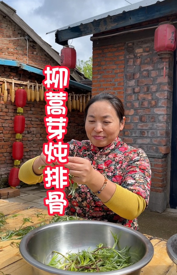 东北农村生活,开春又失败了,6月份还在吃野菜,柳蒿芽炖排骨