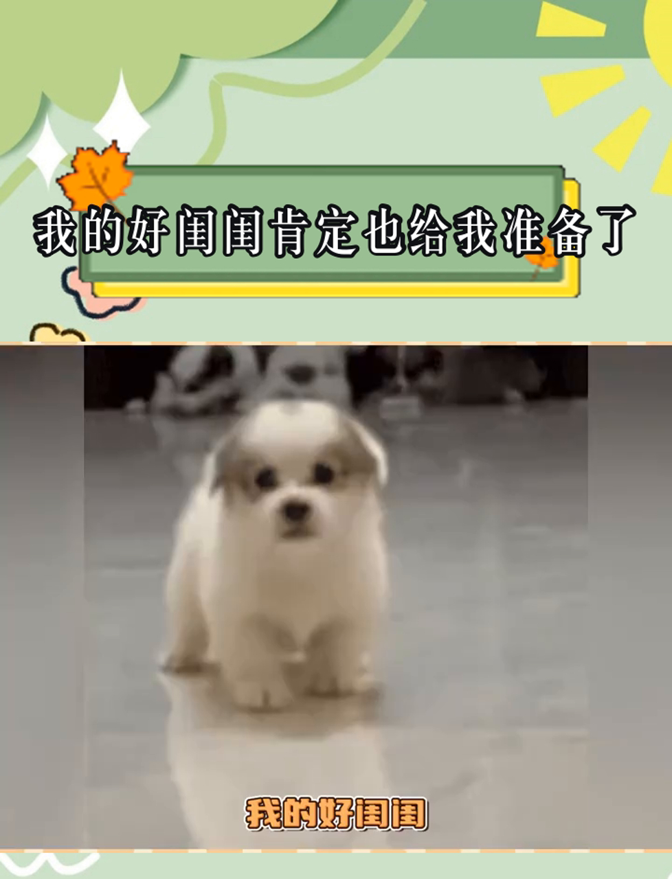 闺蜜这次你一定不会让我输的对吧