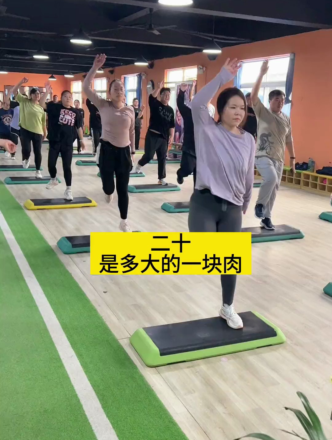 二十斤是多大的一块肉