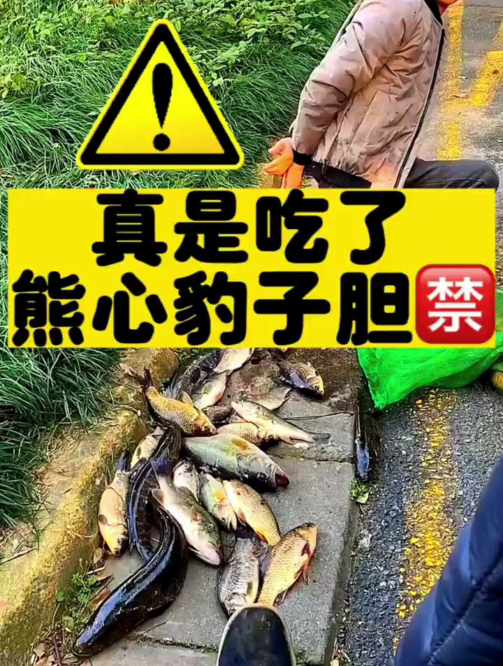 光天化日敢来水库偷钓,鱼不开口的时候,小伙竟然能爆护?