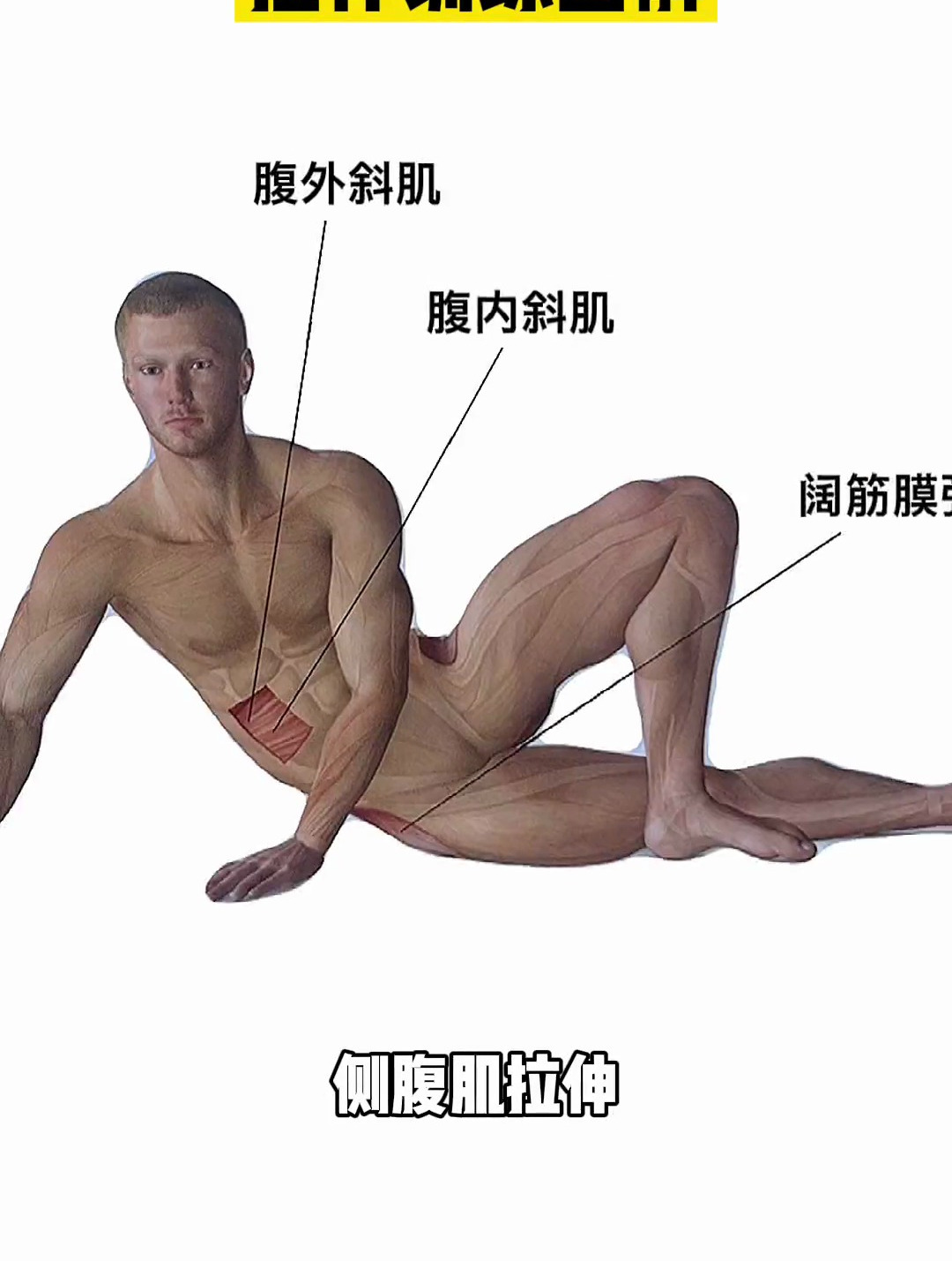 拉伸训练 健身 拉伸训练 拉伸放松肌肉