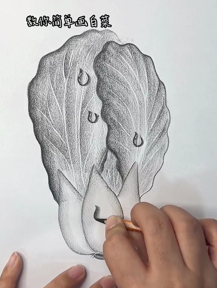 教你简单画白菜,画画其实很简单