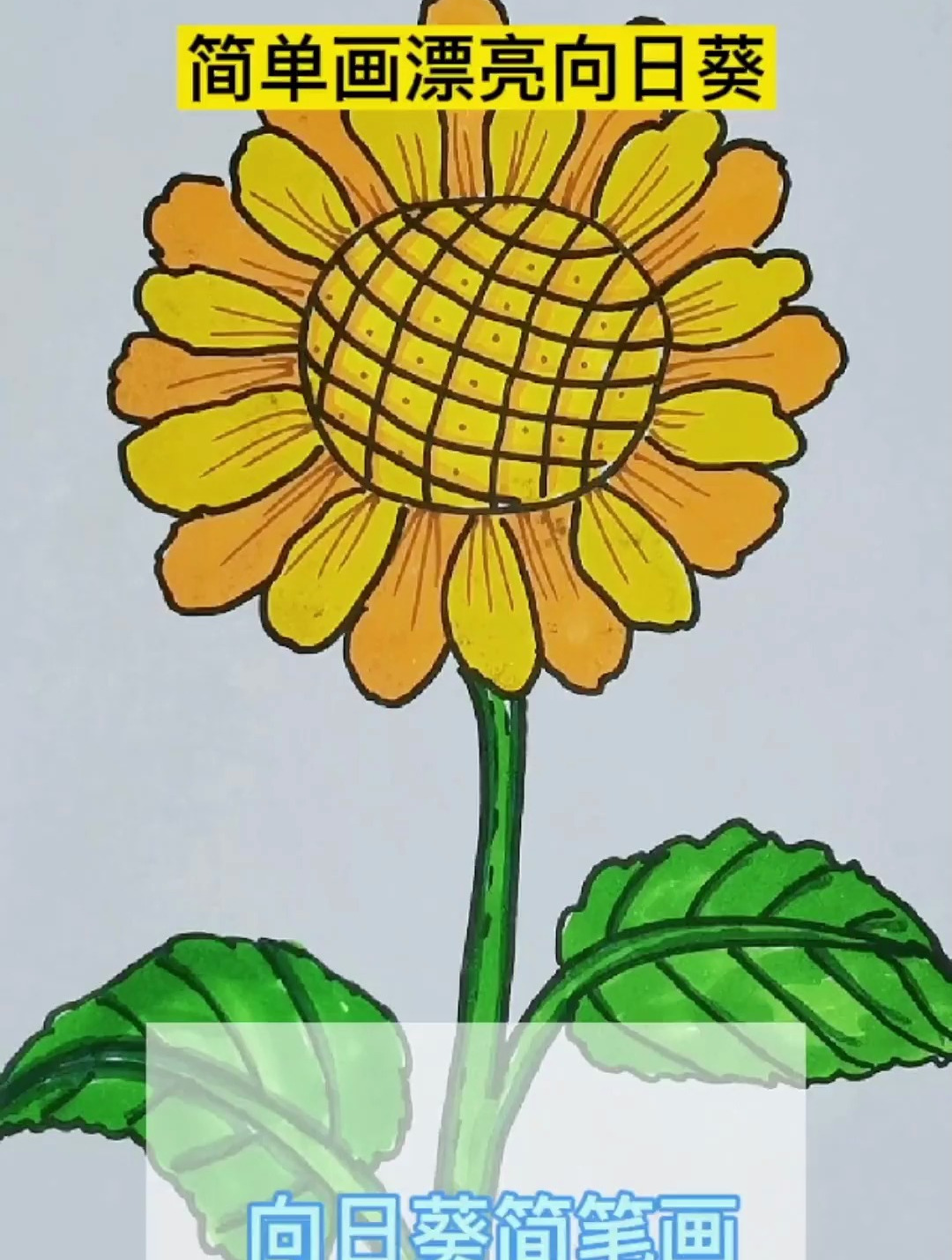 跟宝宝一起画向日葵 简笔画教程