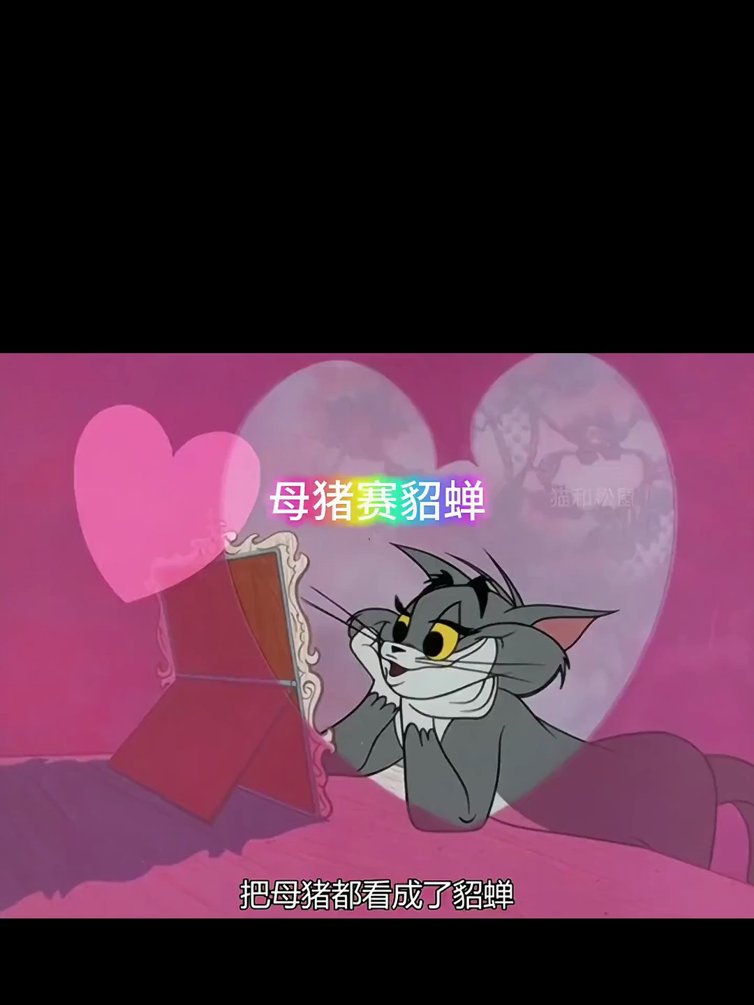 单身十多年的汤姆,眼光都出现了问题 猫和老鼠 动画 动画解说
