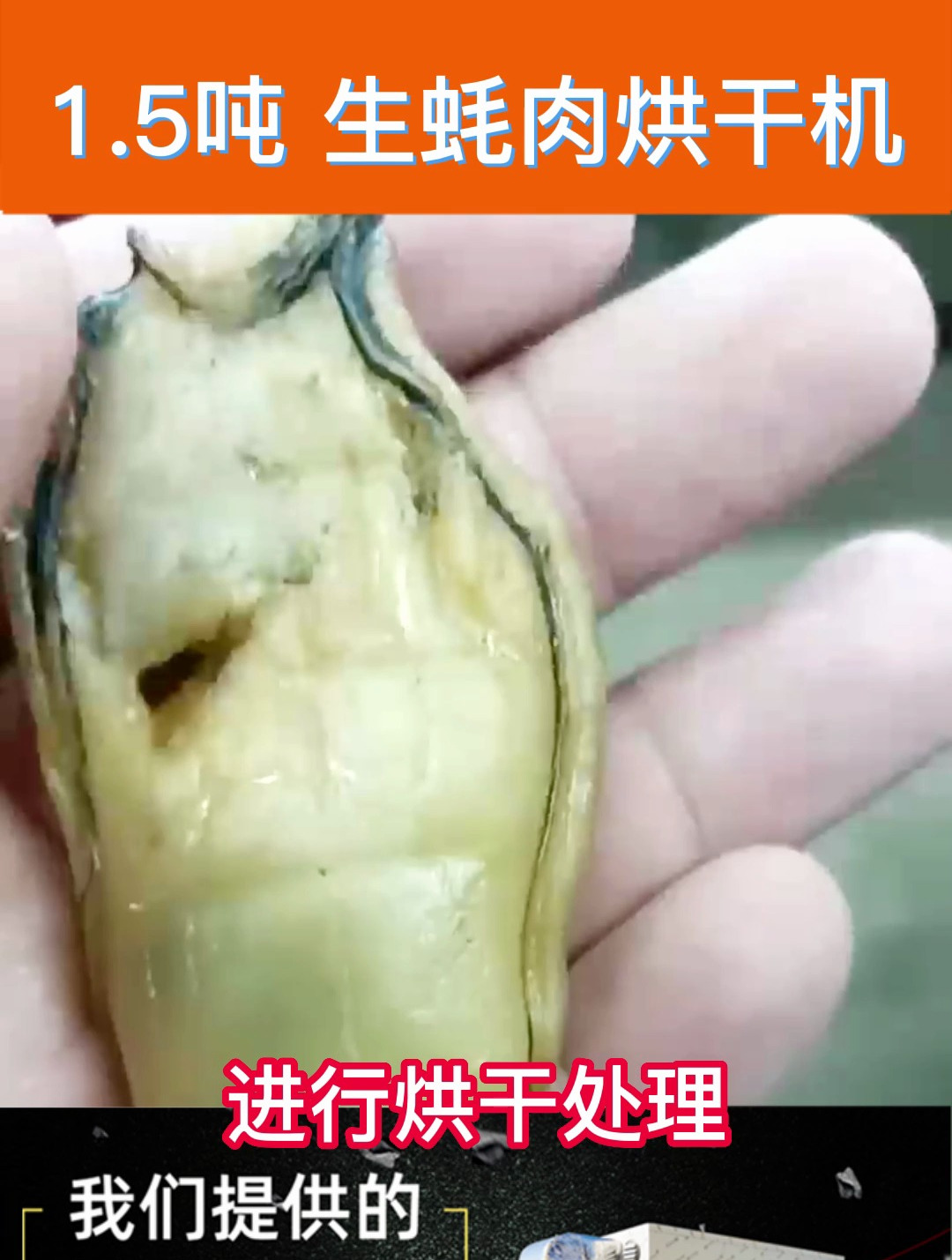 生蚝肉烘干机 小型家用海鱼海虾烘干设备
