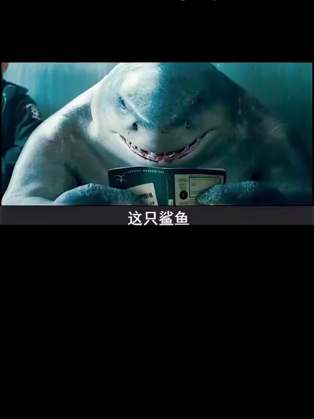 你见过这么可爱的鲨鱼吗