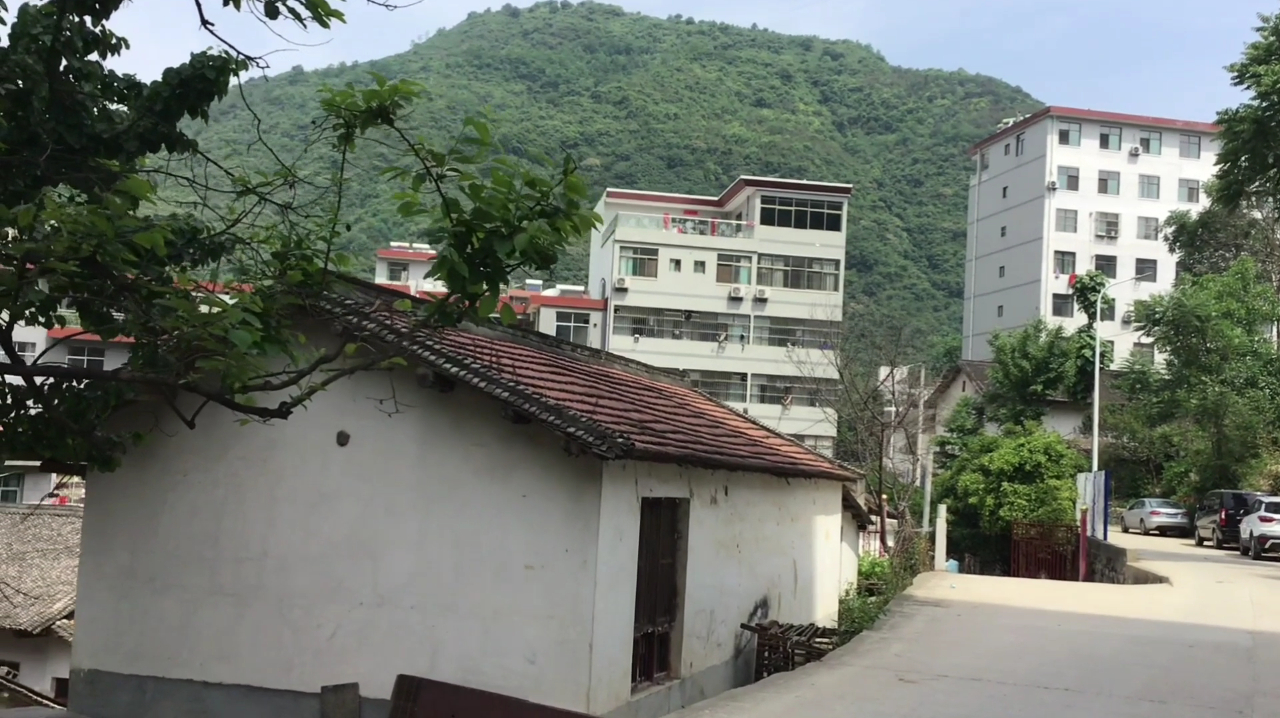 日常vlog:生活在秦岭深处是什么感觉呢?neeko带你来揭秘