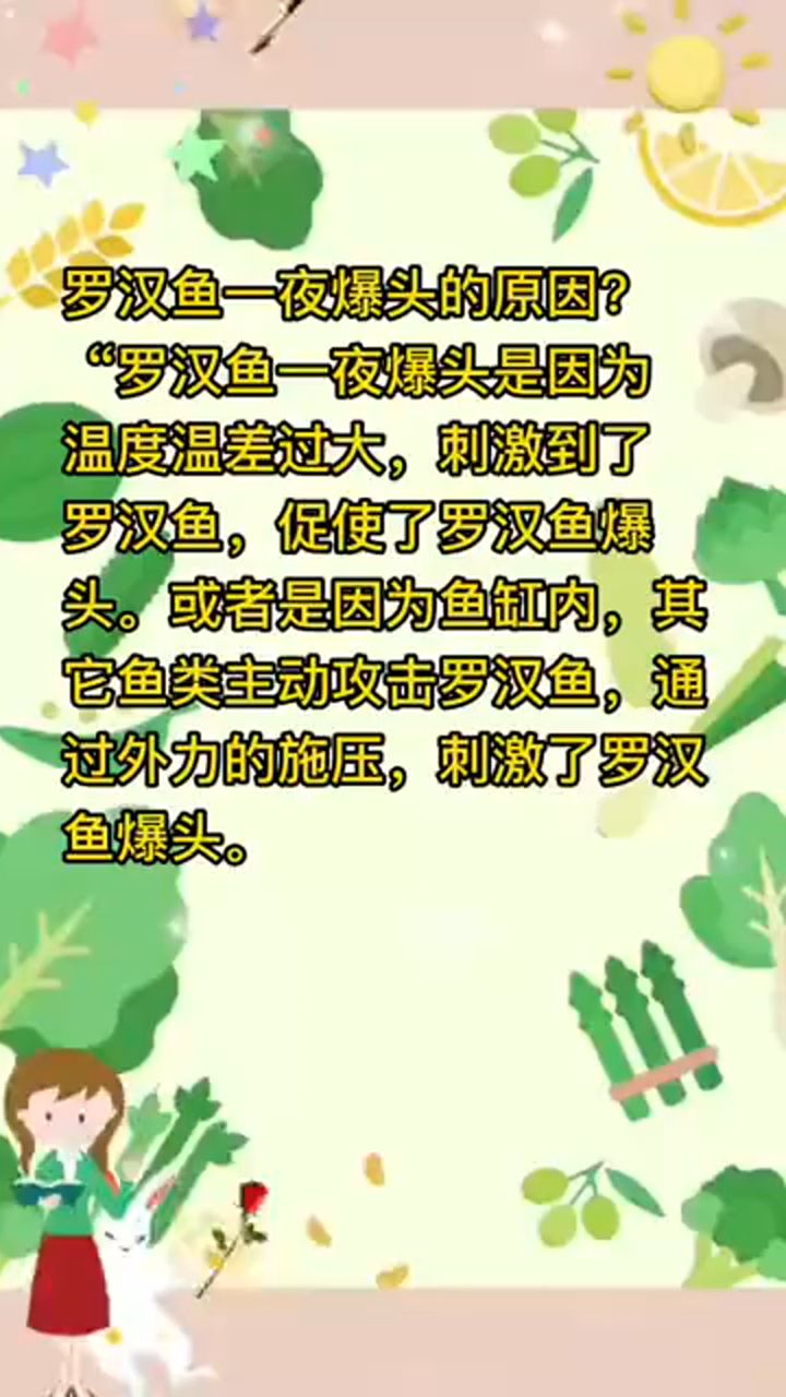 奇闻轶事_罗汉鱼一夜爆头的原因!