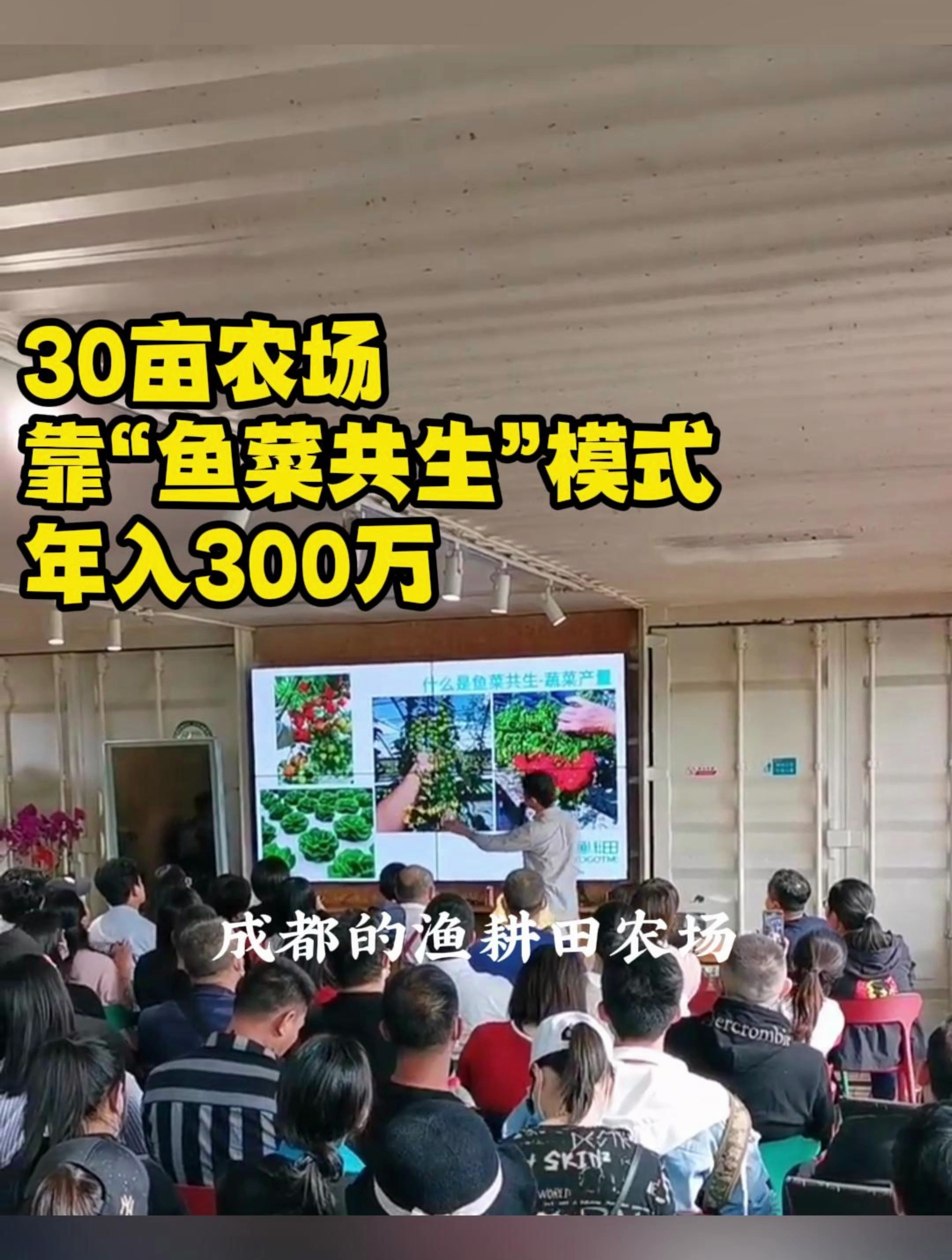 30亩农场,靠鱼菜共生模式,年入300万:成都渔耕田