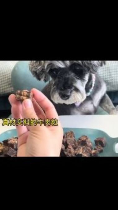 今日份牛肉粒冻干