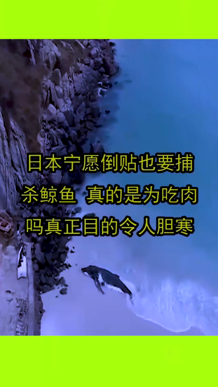 日本宁愿倒贴也要捕杀鲸鱼,真的是为了吃肉吗?真正目的令人胆寒