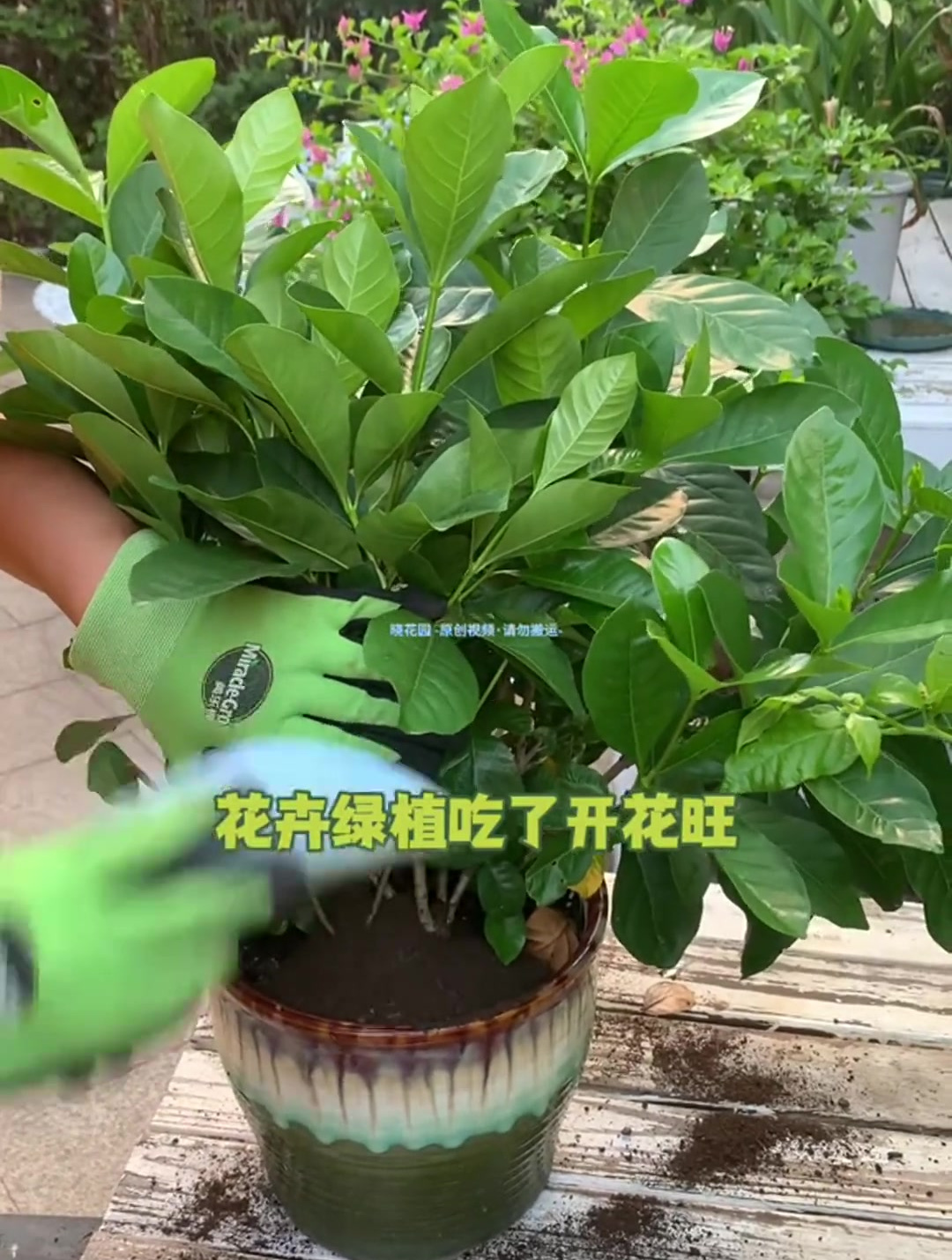 现在种瓜果蔬菜都需要它!