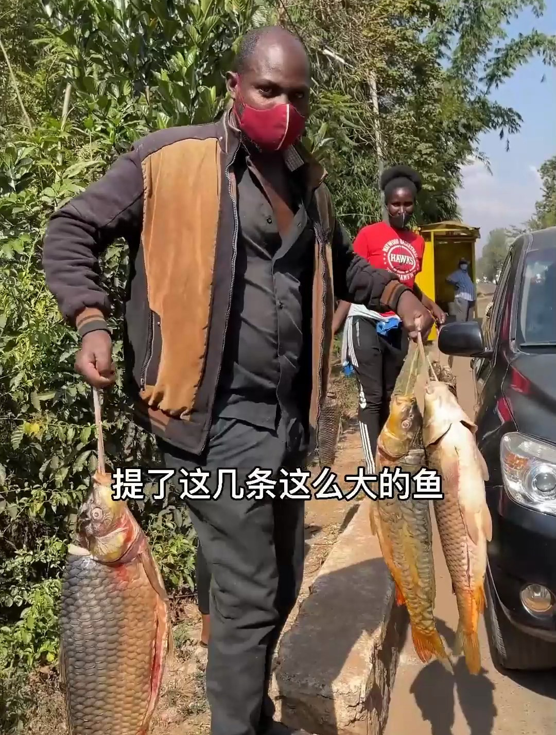 非洲卢旺达,水资源丰富,偶遇野生鲤鱼王