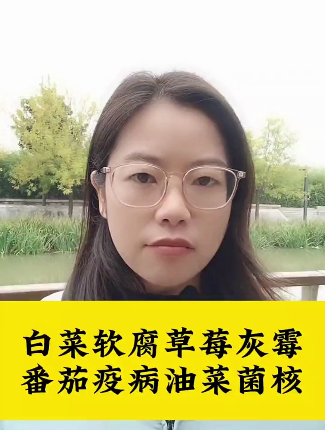 白菜软腐病,草莓灰霉病,番茄疫病,油菜菌核病该怎么治疗呢?