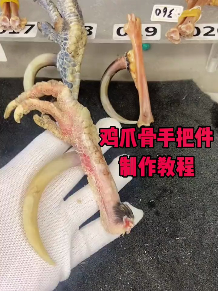 文玩鸡爪骨怎么处理,用鸡爪做成手把件