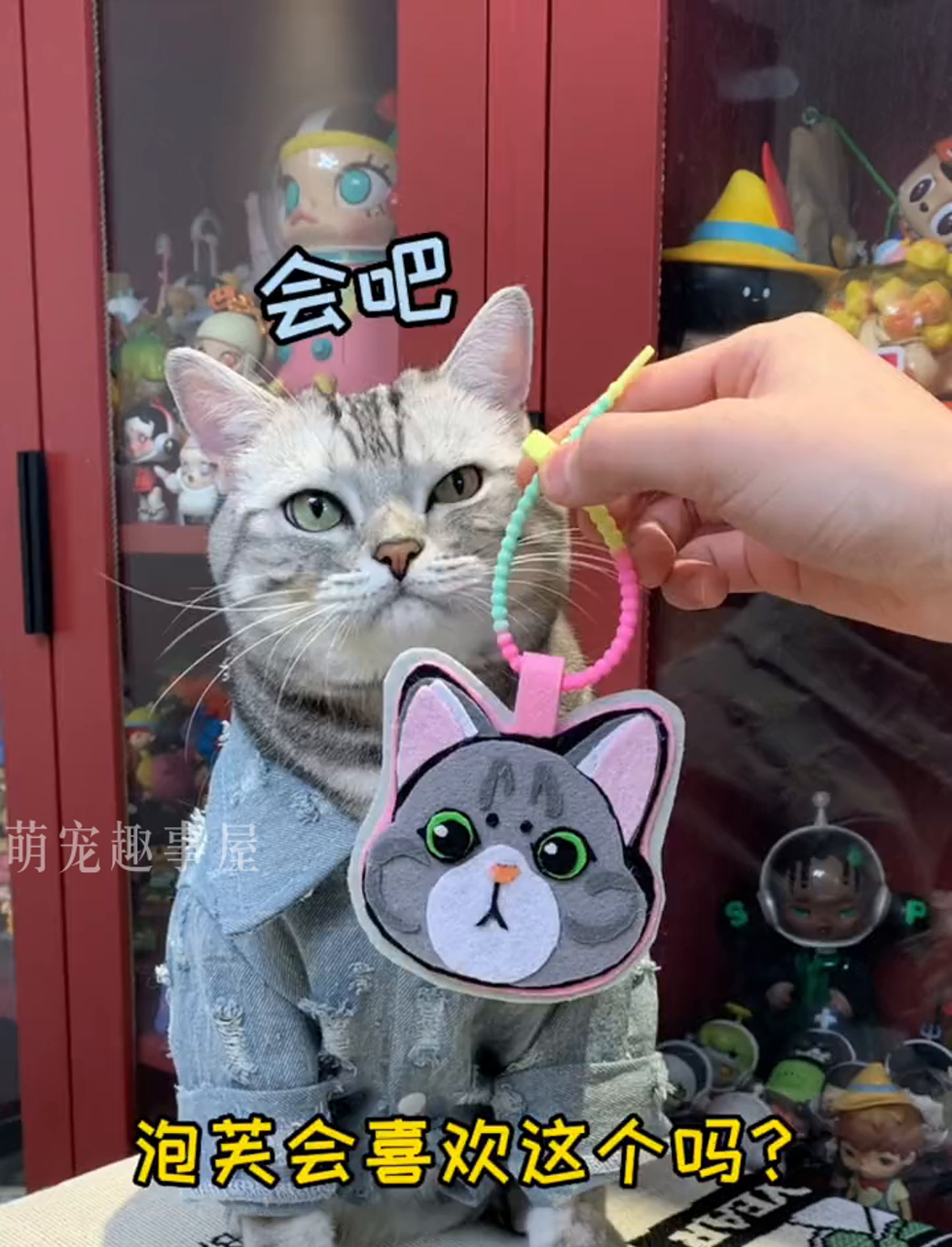 安生给泡芙送了个5岁生日惊喜,小奶猫的心意你眼红不?