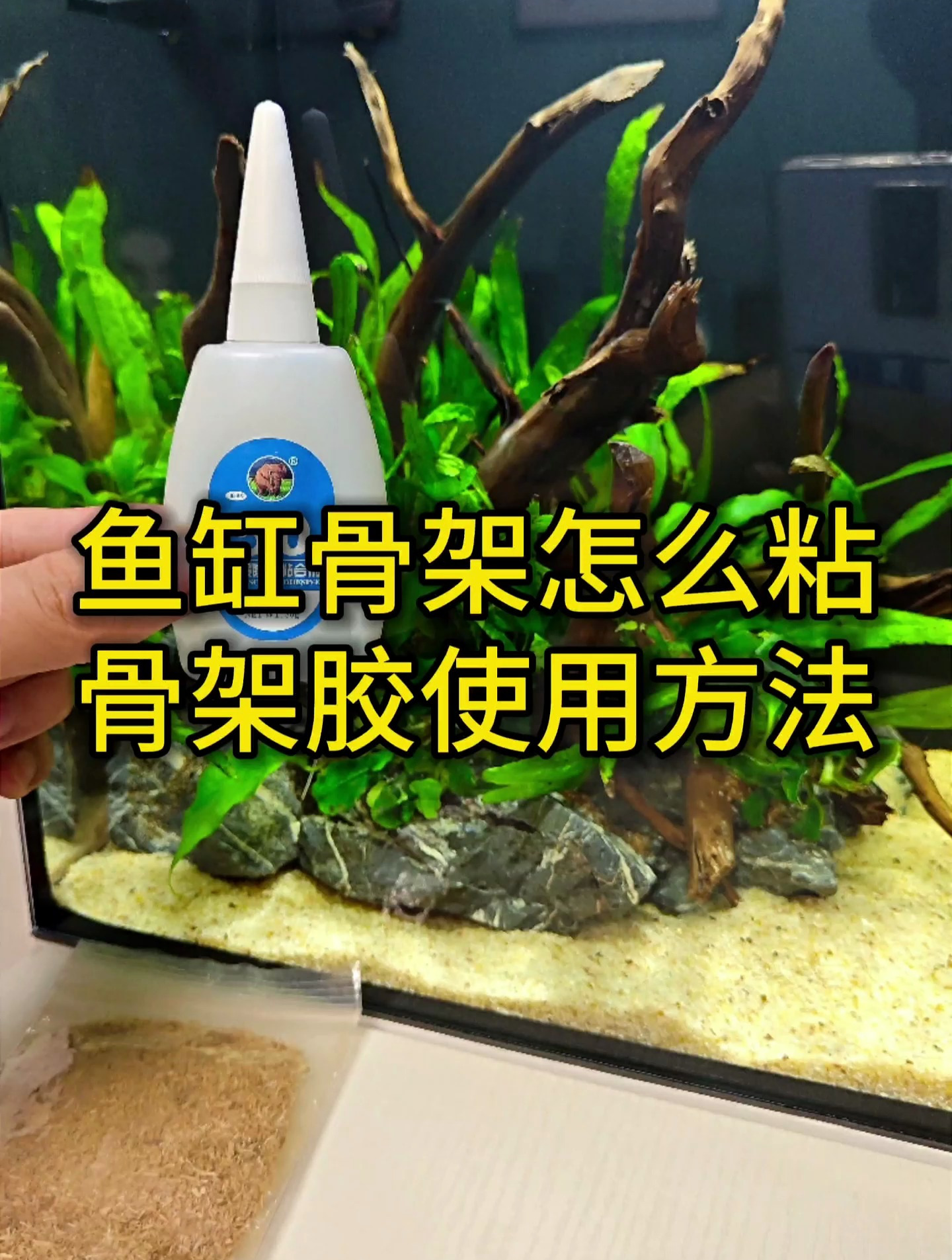 造景骨架怎么粘?鱼缸骨架胶使用方法