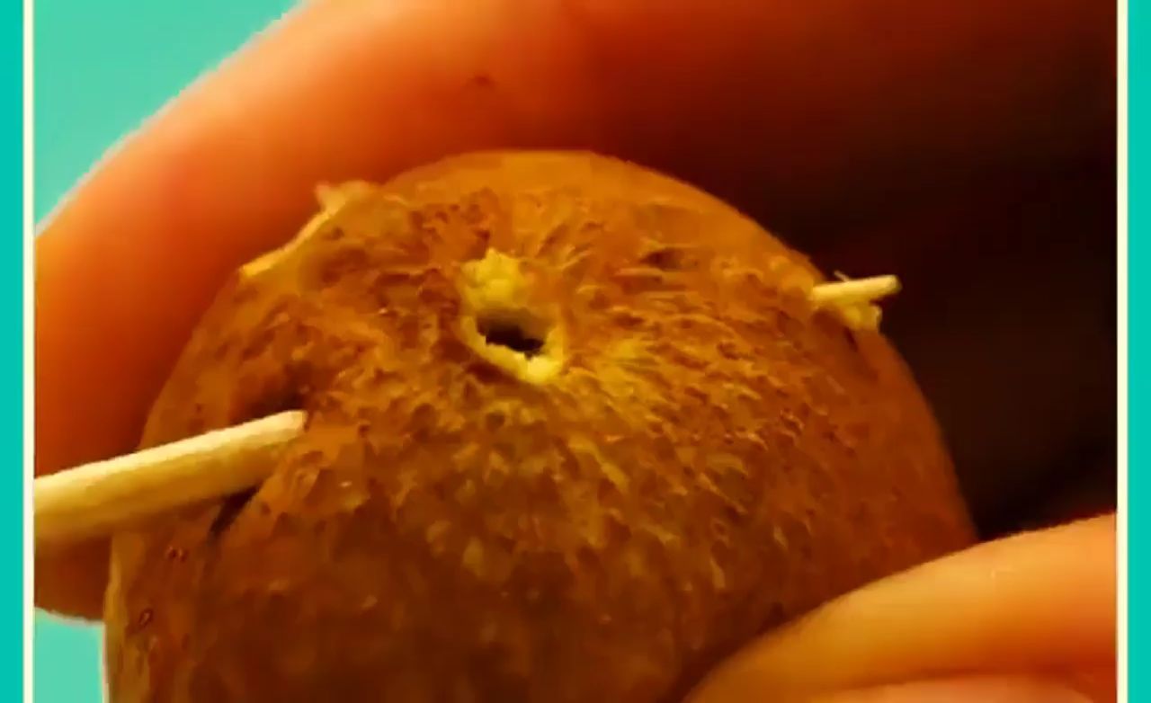 今天安利一个鸡蛋的花样做法 原来鸡蛋不光是鸡蛋