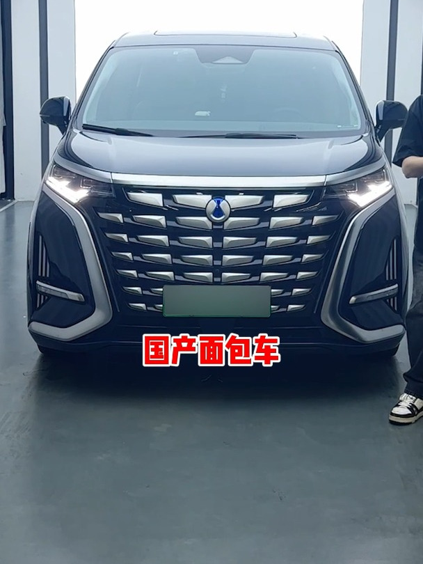 30万的国产面包车哪家强?来看看腾势D9你就知道了