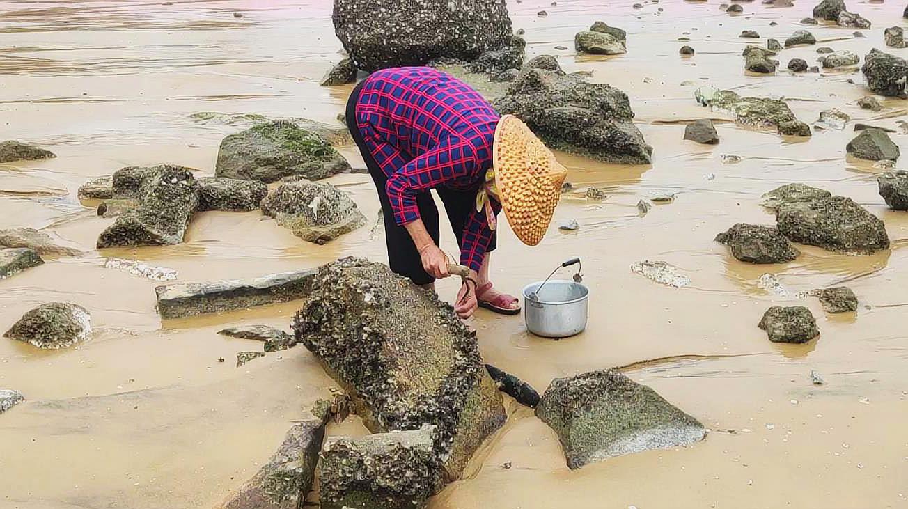 [图]看赶海视频都是海鲜随便捡，一般人到海边赶海，真的能收获满满？