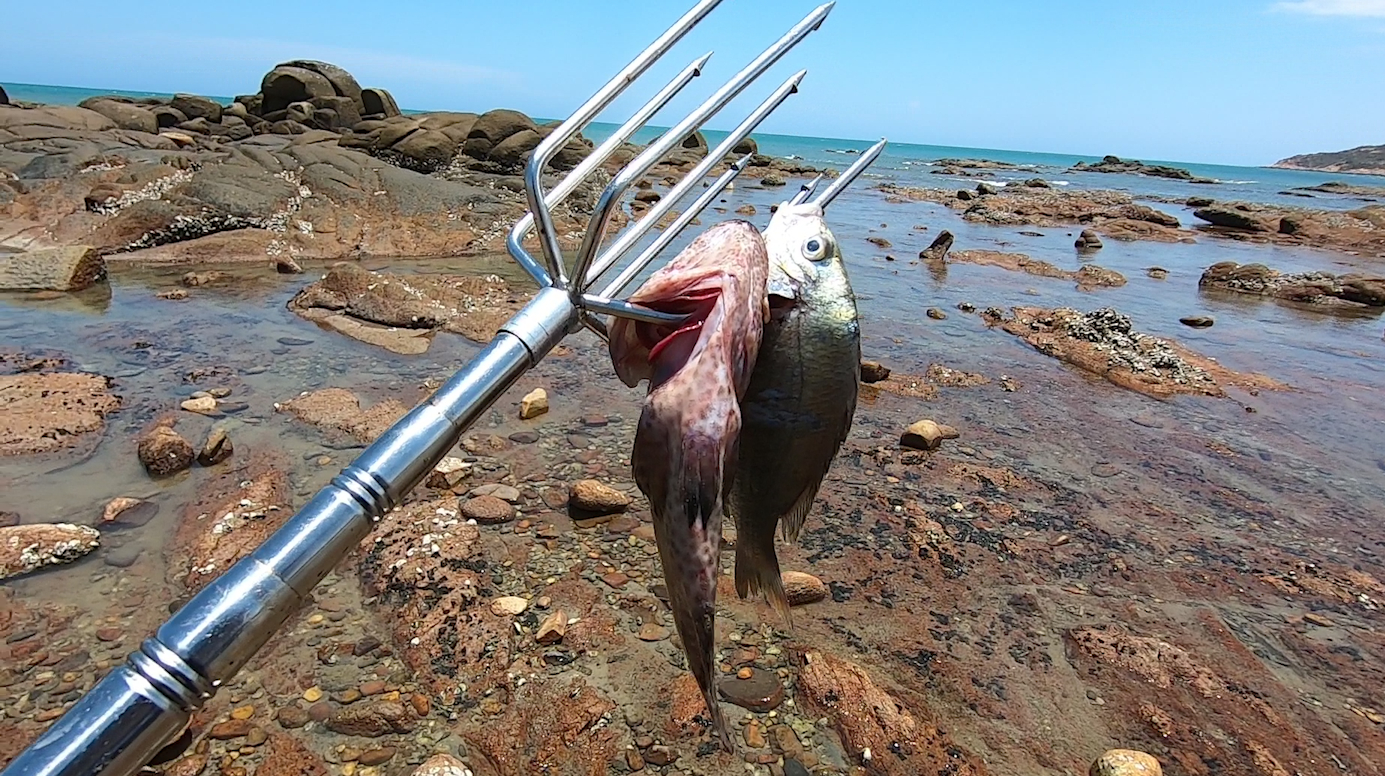 阿友带上“鱼叉武器”赶海,鱼儿四处逃窜,越叉越兴奋