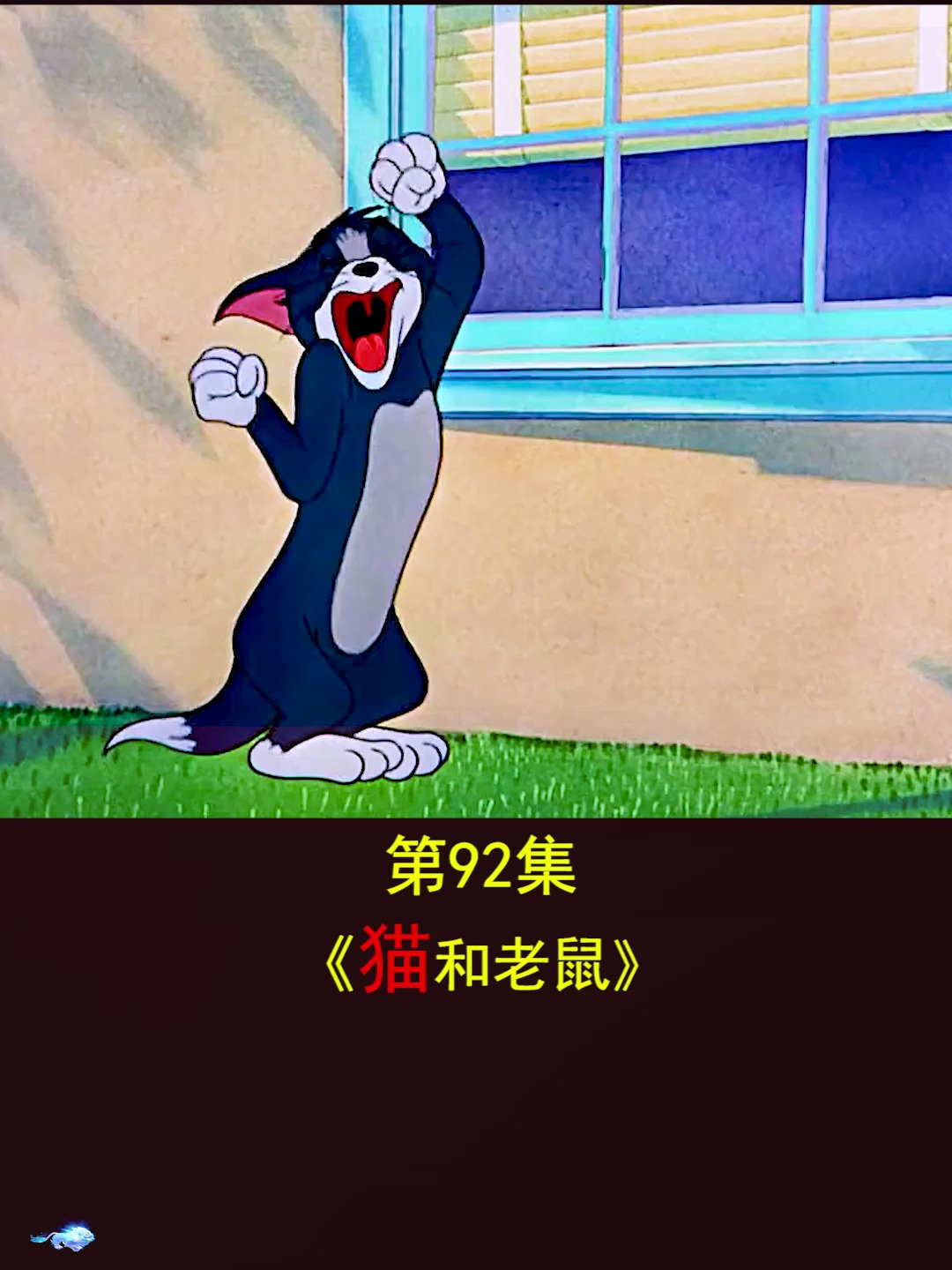 动漫动画片 猫和老鼠