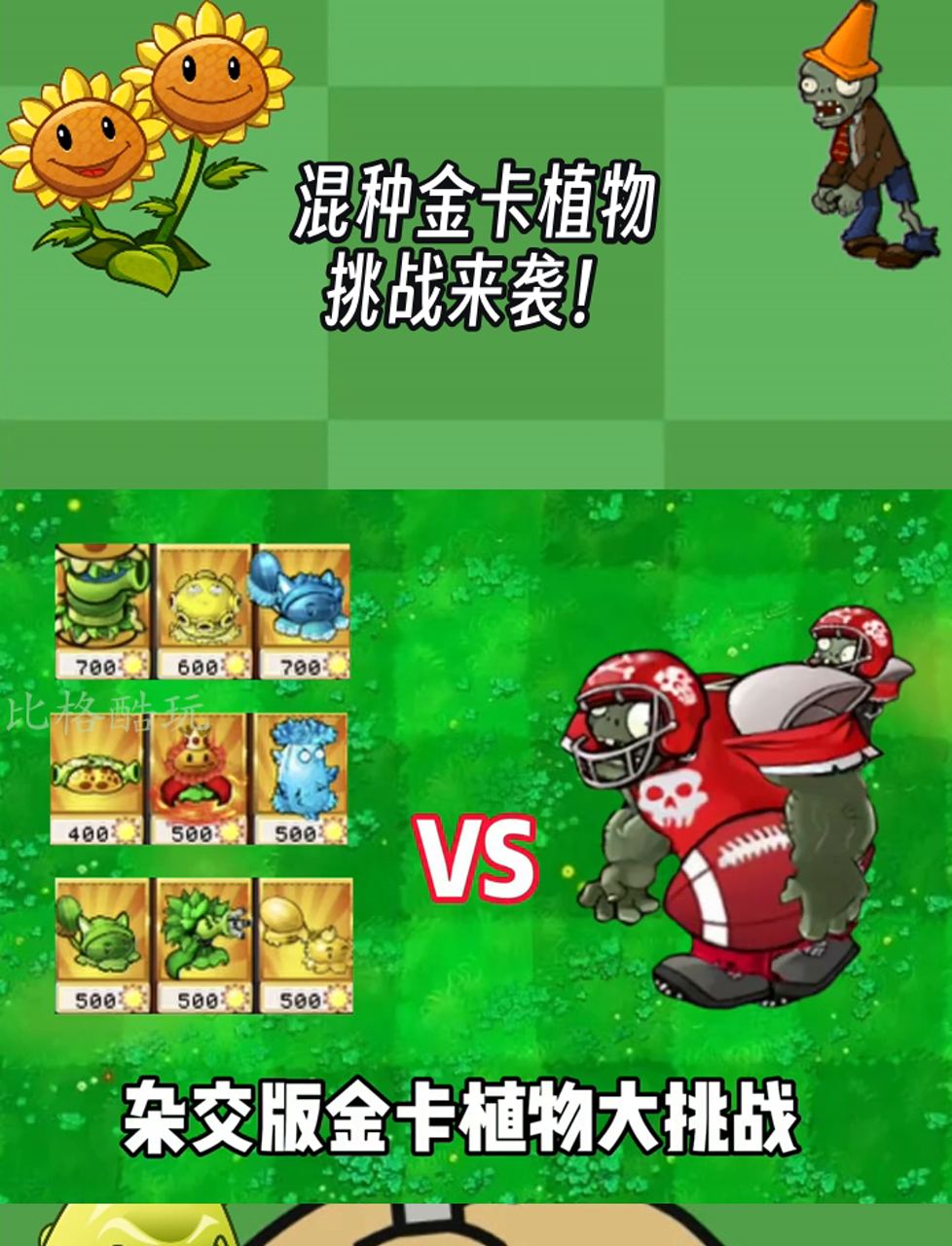 混种金卡植物,挑战来袭!