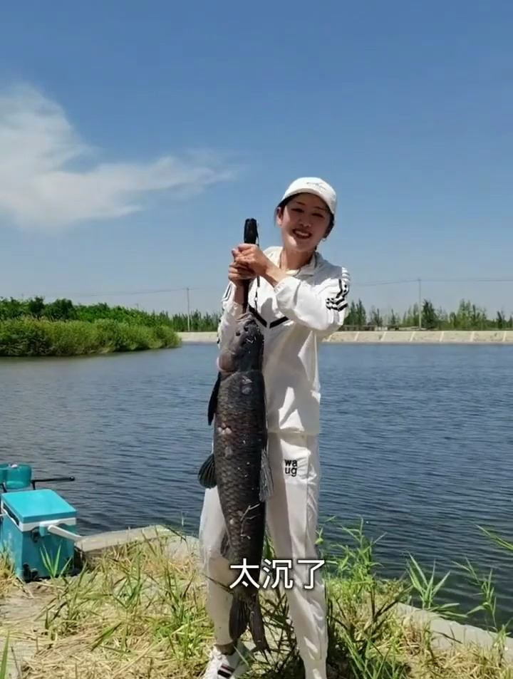 猜猜这尾大青鱼有多少斤