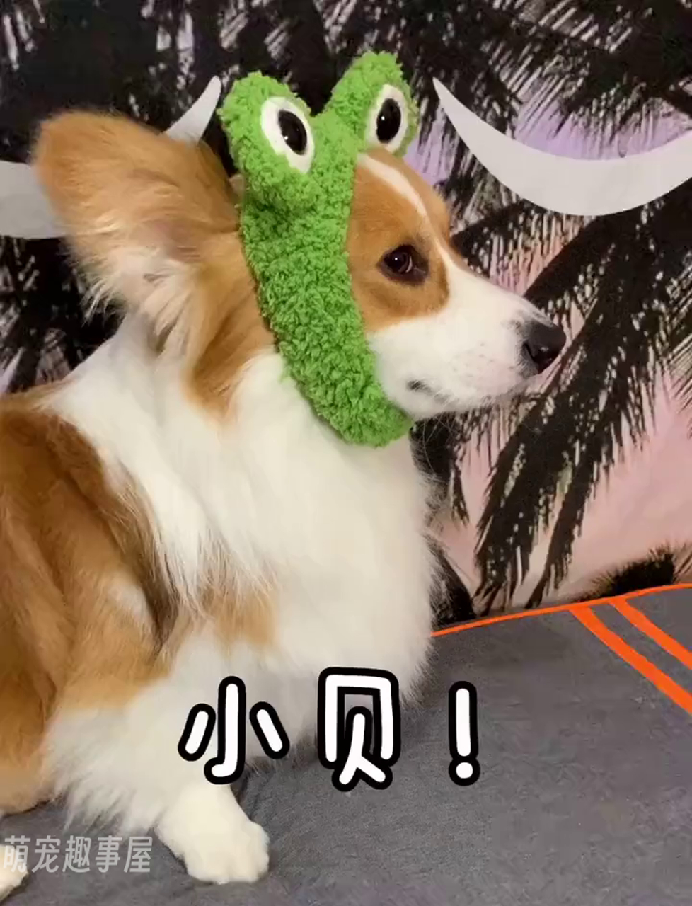 超酷《魔鬼鱼》来袭,全网最硬核!