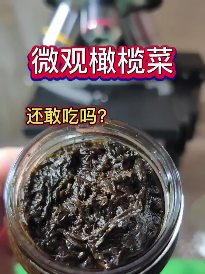 微观橄榄菜,你还敢吃吗?