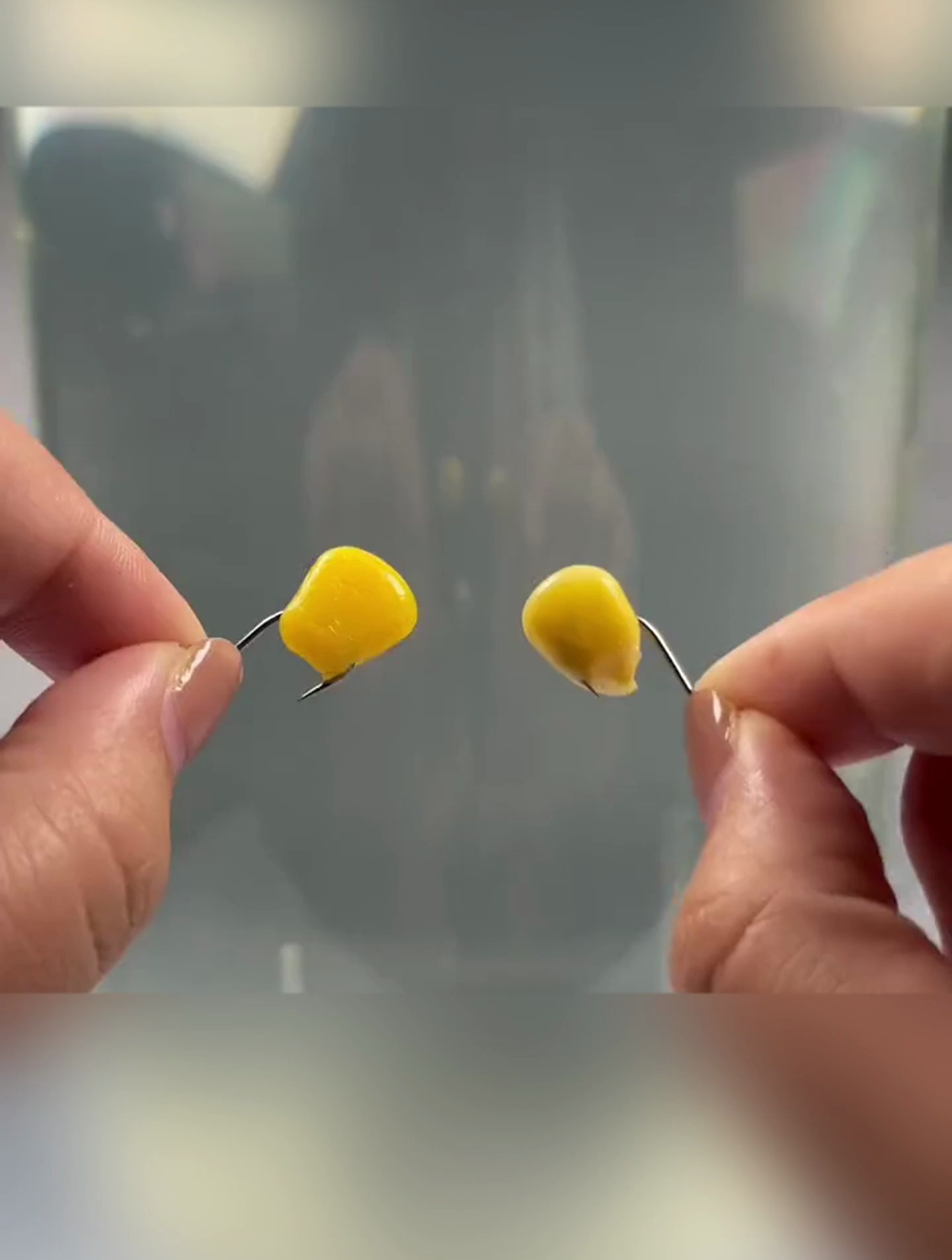 今天给大家分享,高手钓鱼的黑科技!