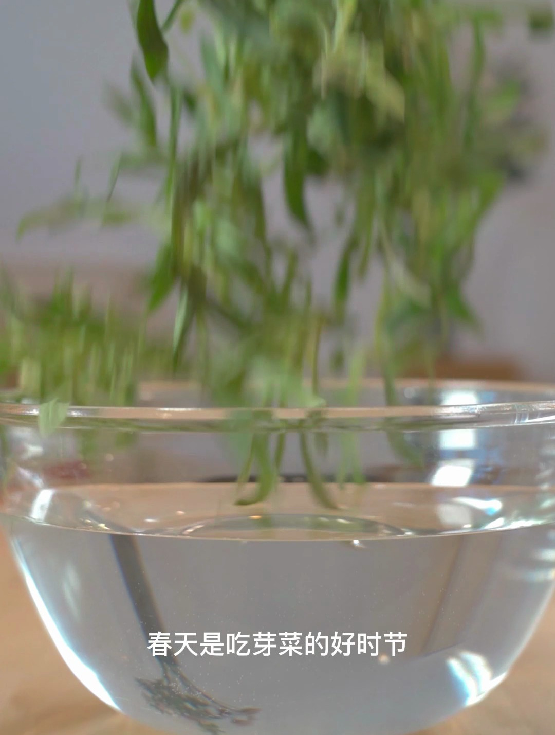 春天来了,就是要多吃绿色的芽菜呀,五块钱的蒸面条菜安排起来