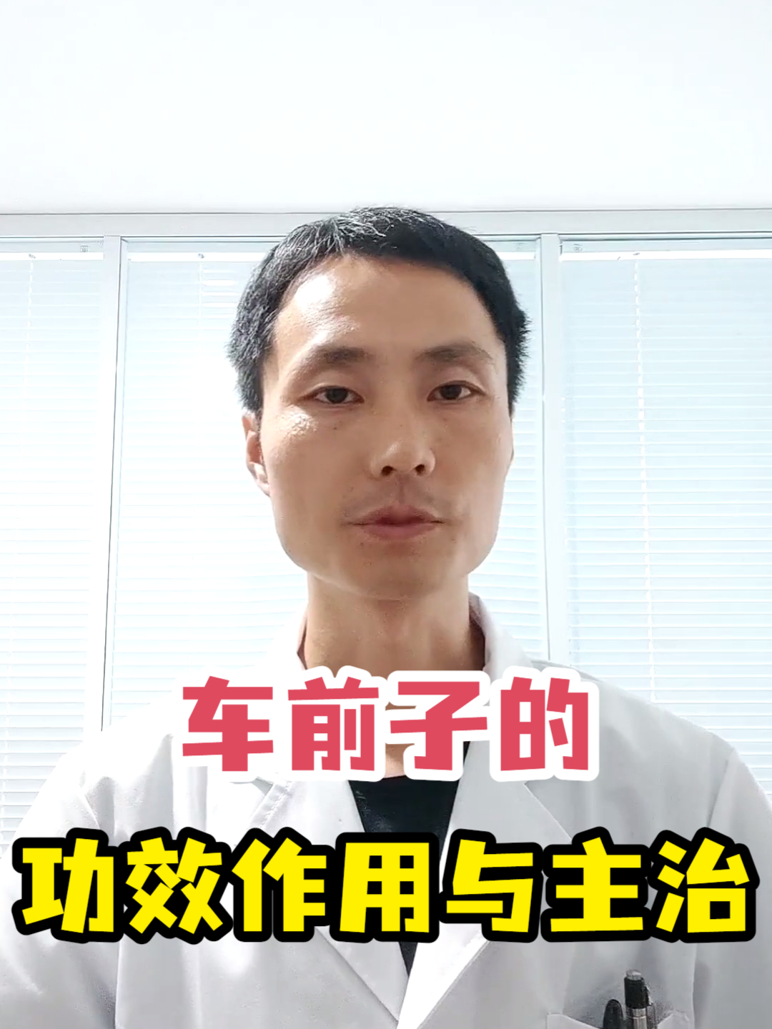 车前子的功效作用与主治