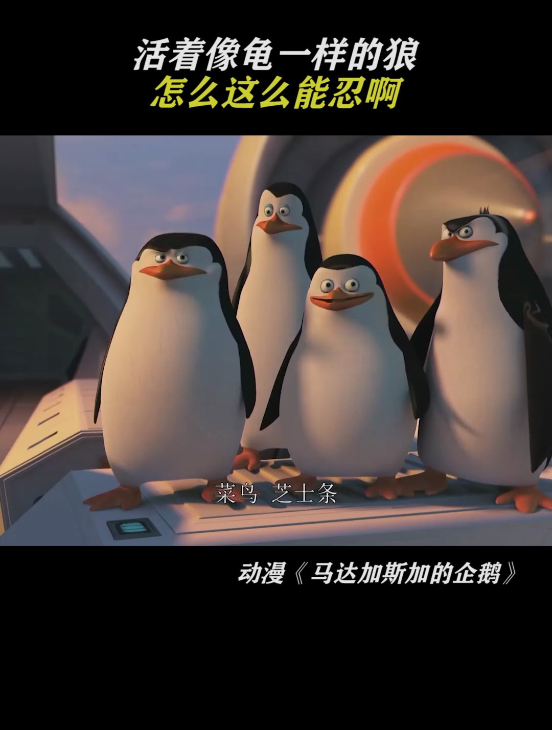 马达加斯加的企鹅:受不了一点