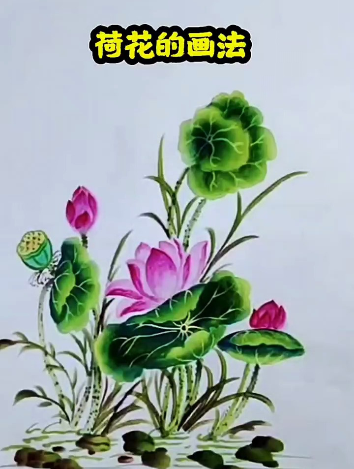 简单画荷花的画法